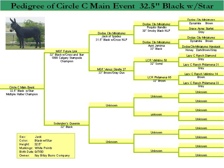 Pedigree for Circle C Main Event